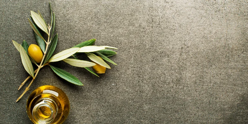 Sızma Zeytinyağı Nasıl Seçilir?